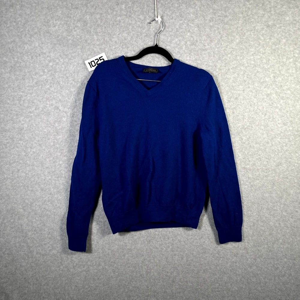 Express Sweater Men Large Blue Merino Wool V Neck Long Sleeve Lightweight Winter